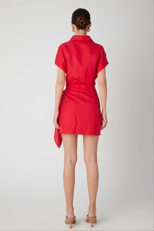 CARSON DRESS